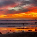 Pet Friendly Lrg 1Bd Dog Beach Waves And Sunshine