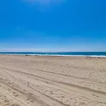 Ocean & Bay