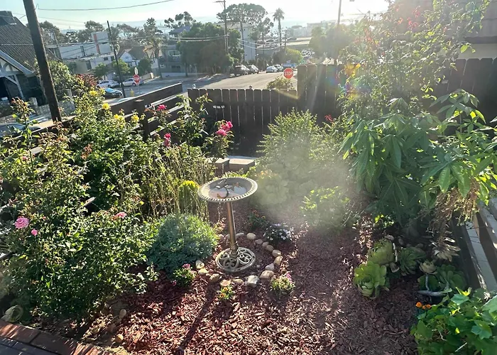 Charming Guest House In Sd