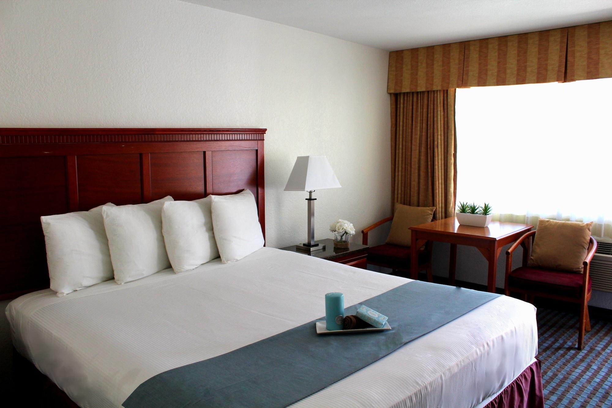 The Pacific Motel 2*