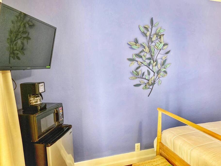 Apartment Artistic Paradise Studio With Balcony Near Downtown San Diego! Perfect For Travelers And Couples! *
