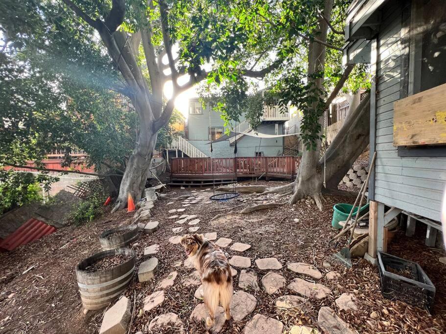 Holiday home Lower Duplex, Huge Yard, Fenced San Diego