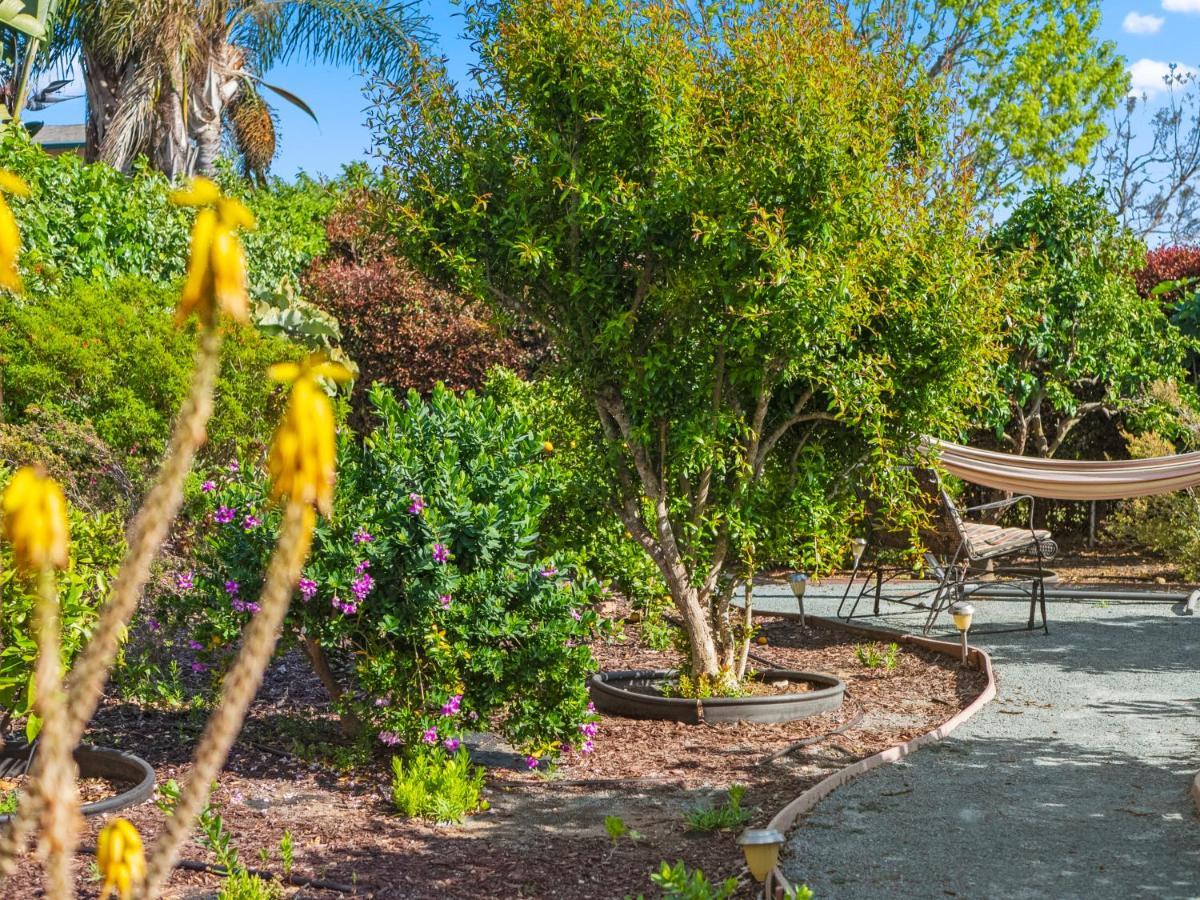 Holiday home Bay Park Garden Paradise - Location, Ac, Washer Dryer & Private Yard! *