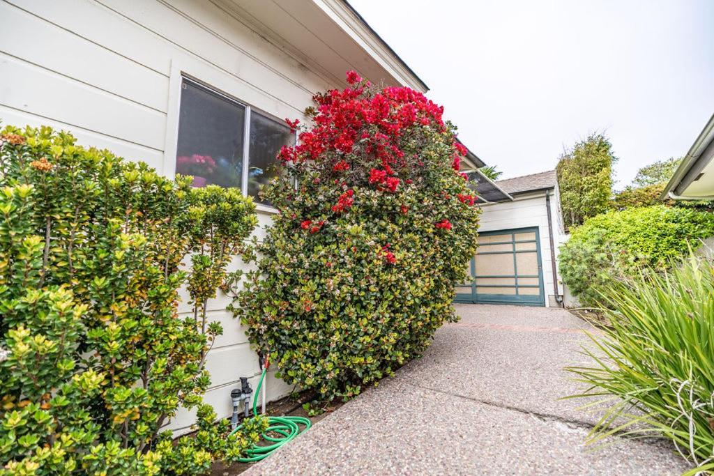 La Jolla Shores Oceanview Retreat *