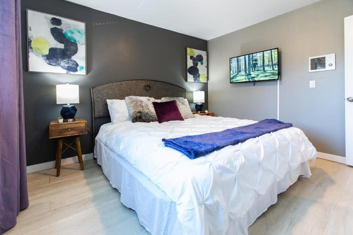 Healthcare-professionals-king-freeparking-wifi-pet Apartment