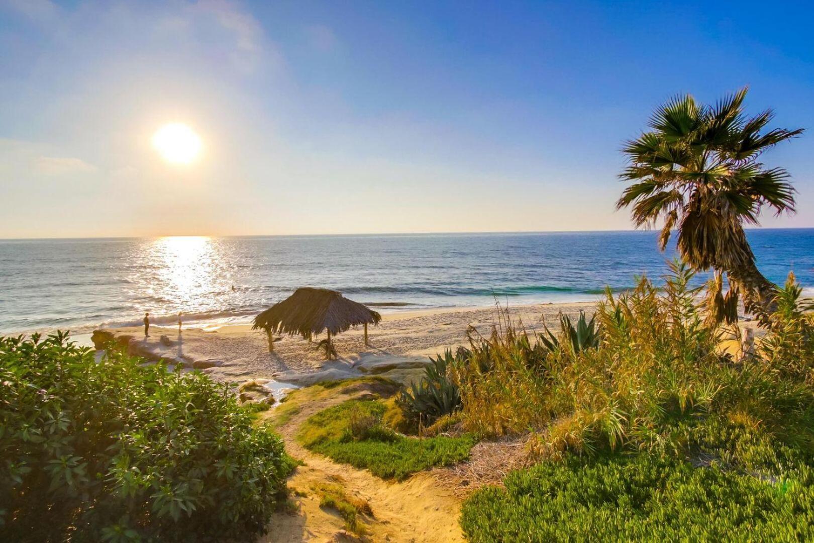 Windansea 2 San Diego