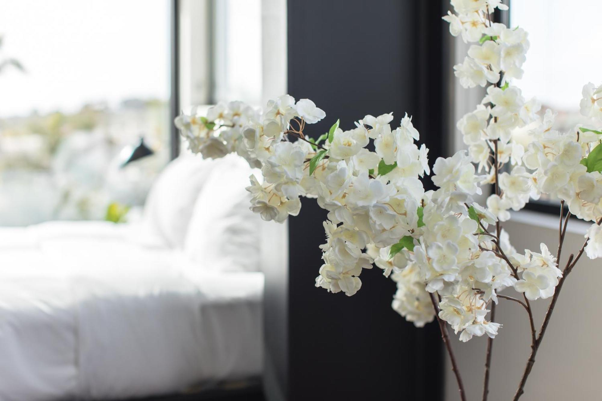 Abpopa Hillcrest Hotel San Diego