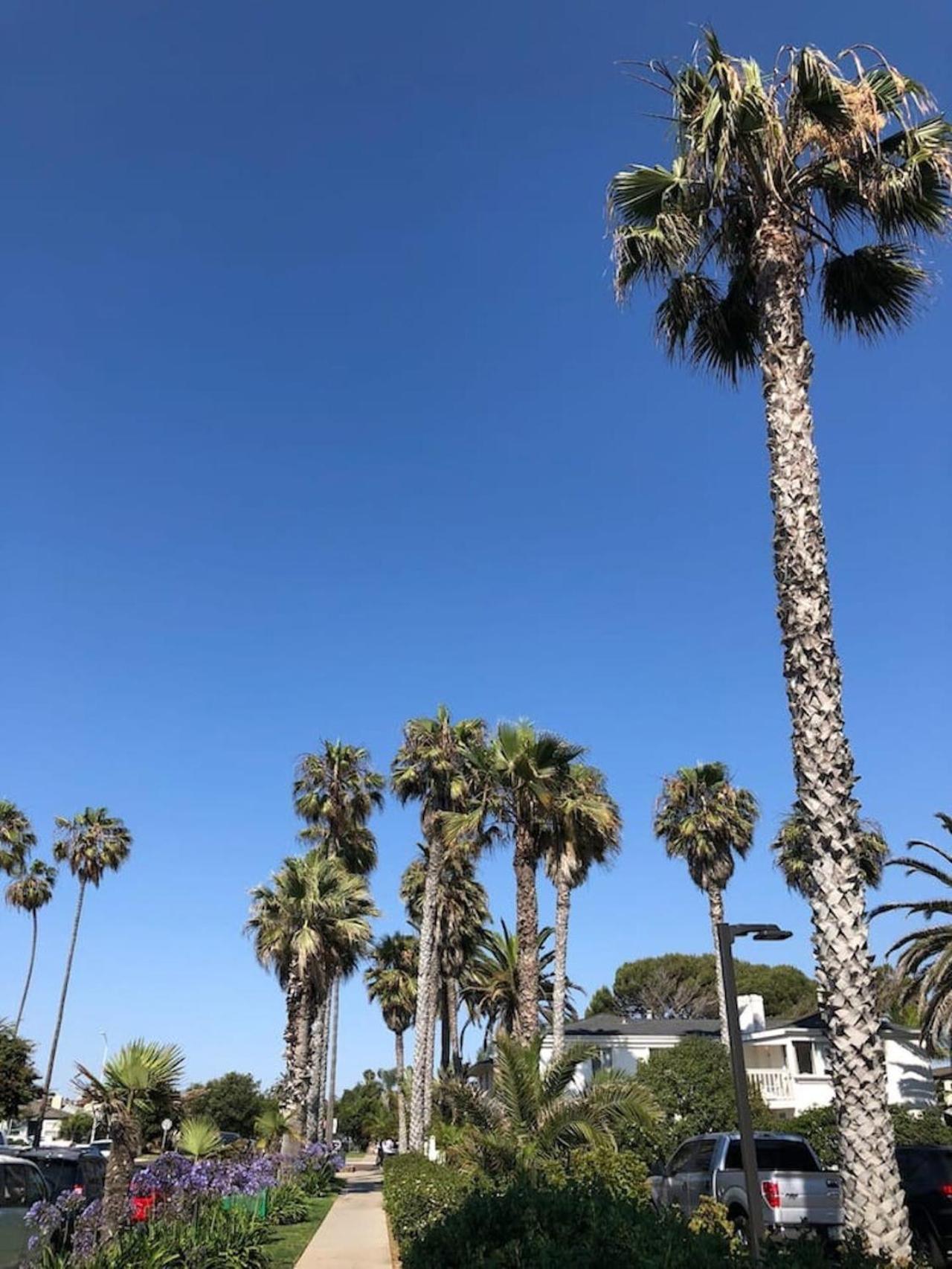 Pacific Getaway Blocks From The