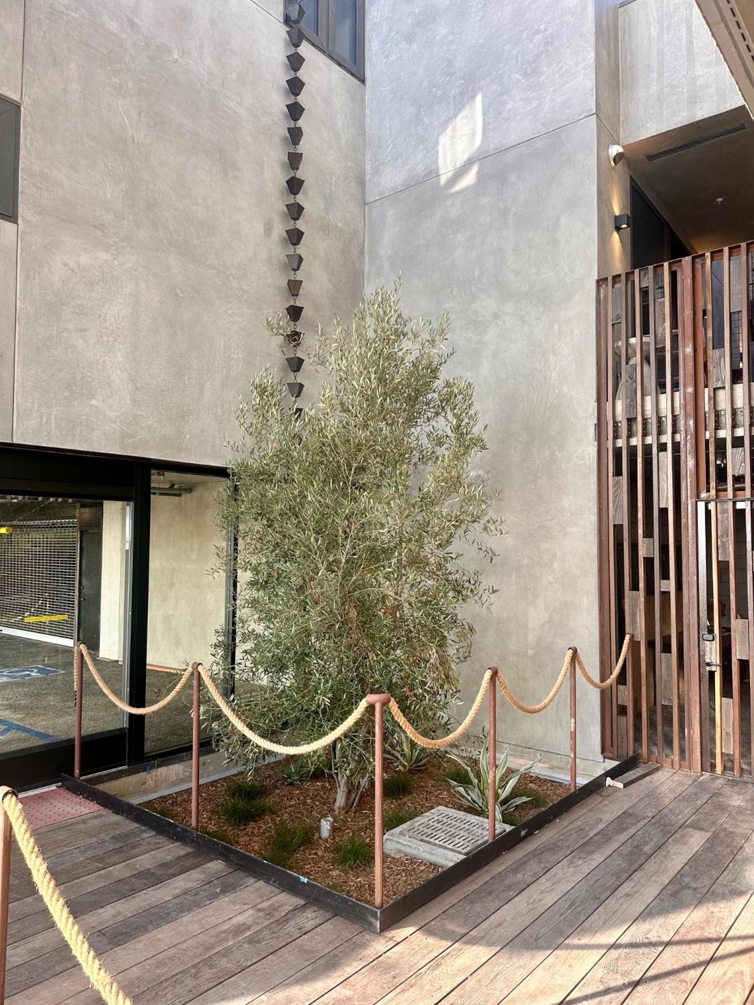 City24 Little Italy Mission Hills 4*