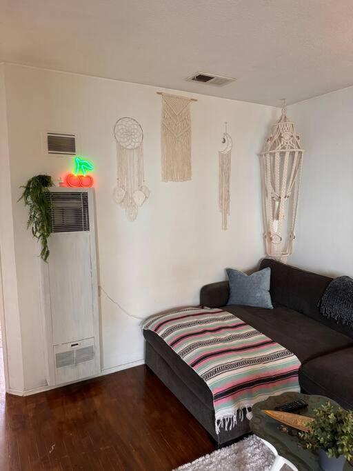 Boho Chic Loft Little Italy Walk Everywhere