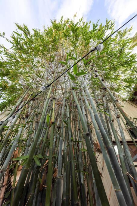 Holiday home Bamboo Loft 6br, 24 Guests *