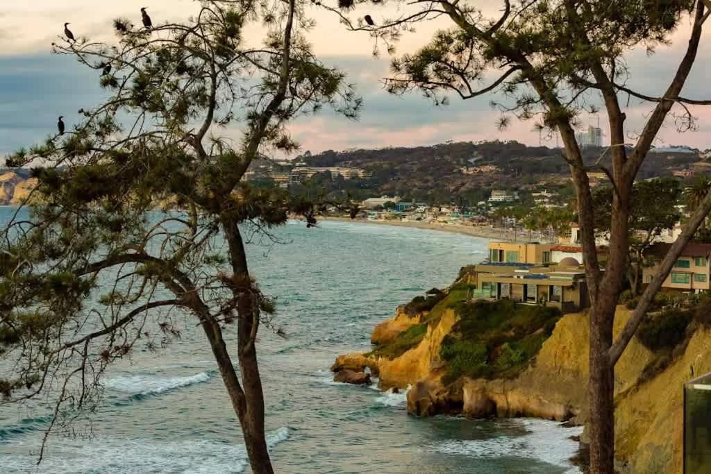 Cliffside Haven Where Ocean Meets Sky * San Diego