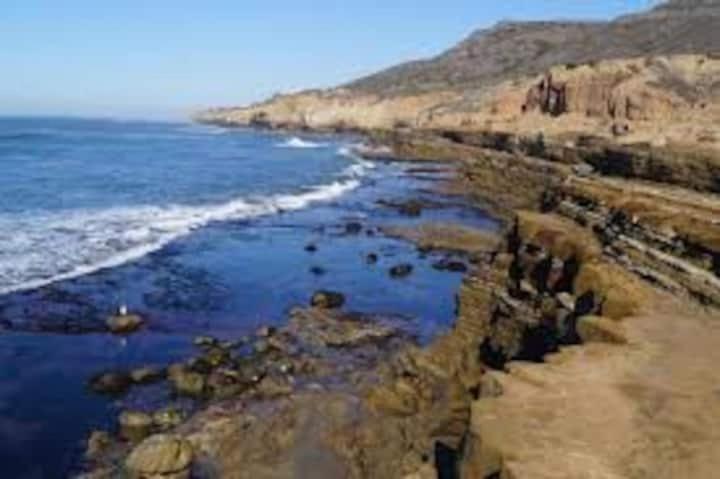 Apartment 500 Ft To Ocean Relaxing Parking Wifi 834