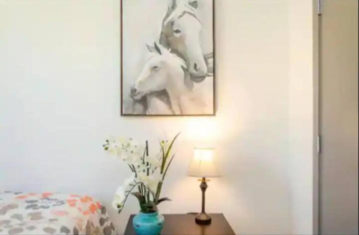 Apartment Chic 2 Bedroom Near Petco Park Convention Center