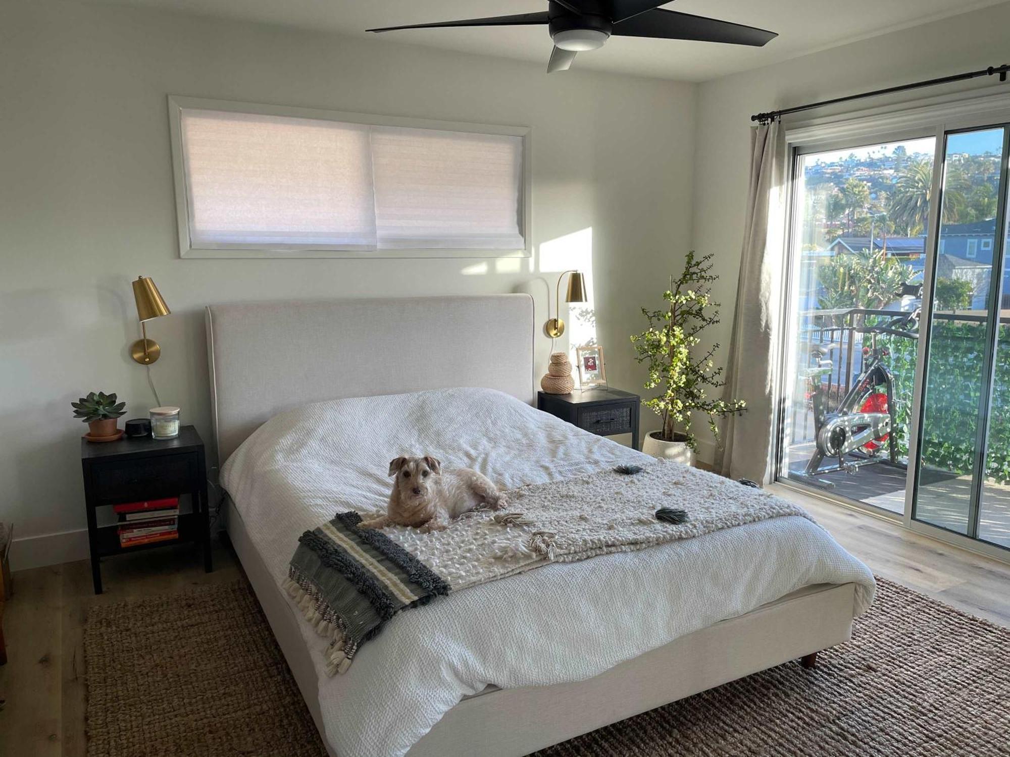 Beachside In The Heart Of Bird Rock La Jolla Holiday home San Diego