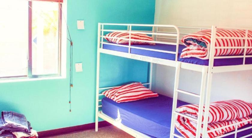 Hostel Ith Colive Balboa Park San Diego