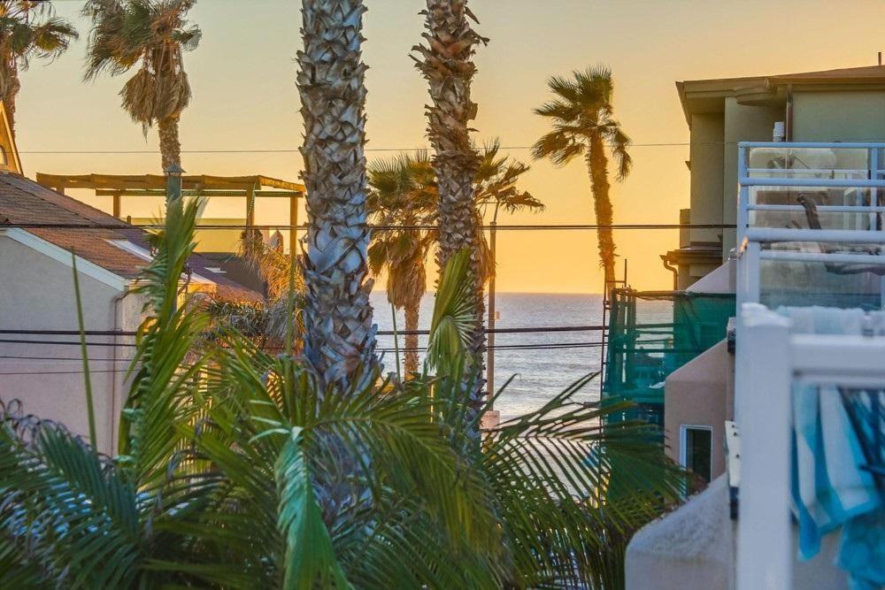 Palms Paradise 2