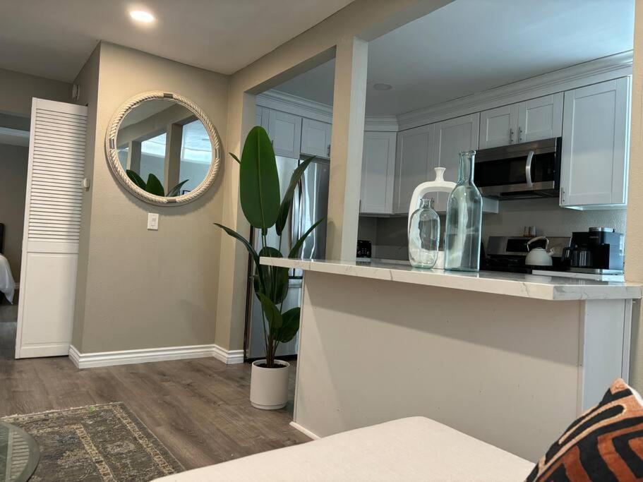 Cool Coastal Ob Life Apartment San Diego