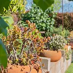 G2053 - Bay Park Garden Paradise