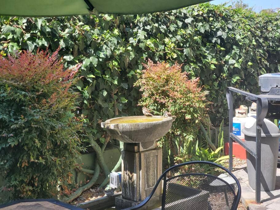 Apartment Artistic Paradise Studio With Balcony Near Downtown San Diego! Perfect For Travelers And Couples! San Diego