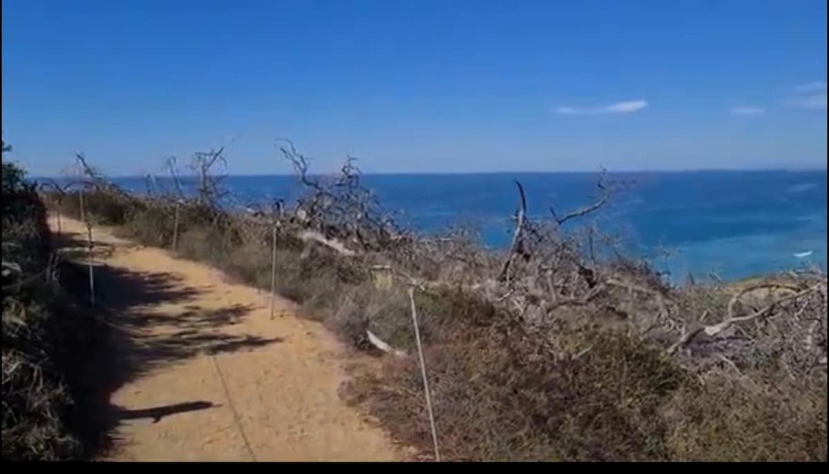 In Coastal Del Mar, California *