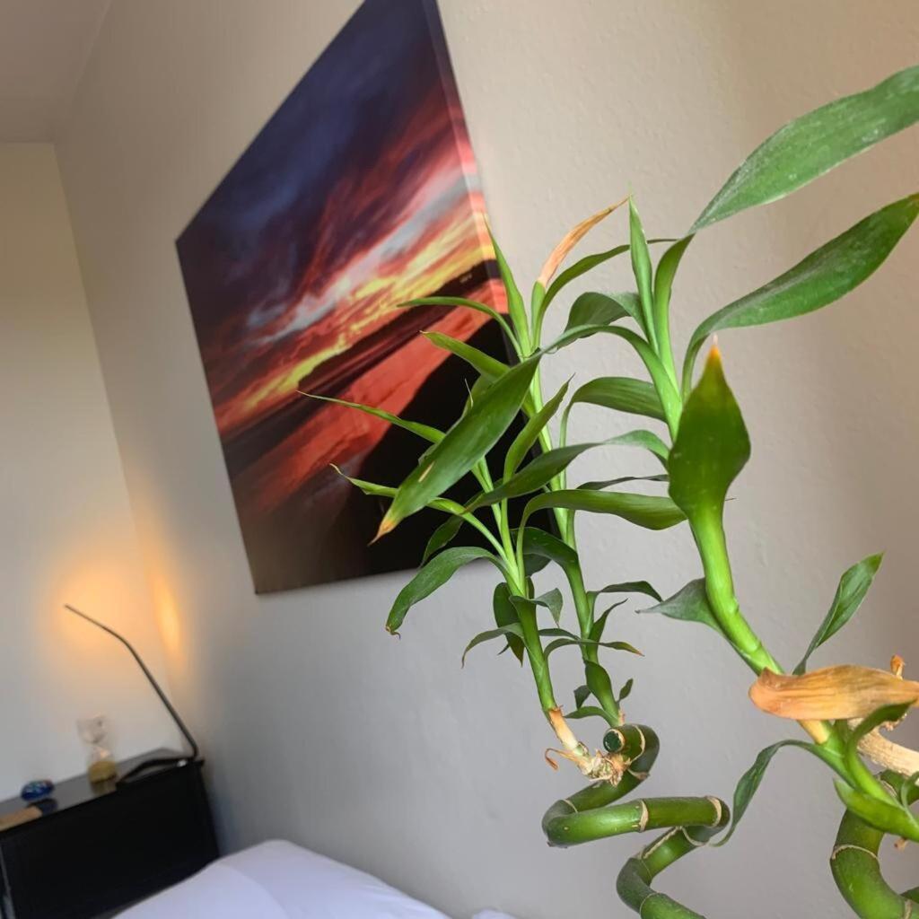 Sunset Loft By Convention Centre Apartment San Diego